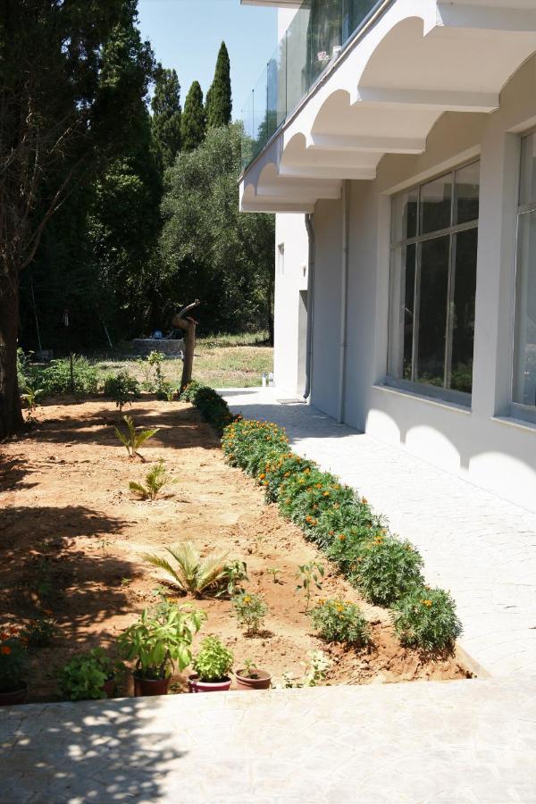Terpsichore Boutique Appartments Dassia  Exterior photo
